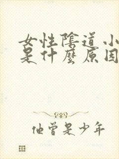 女性阴道小肉粒是什么原因