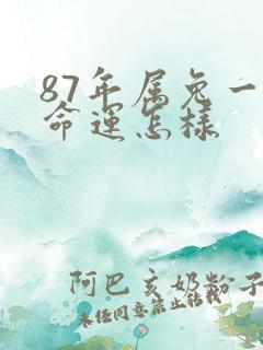 87年属兔一生命运怎样