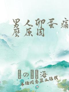 男人卵蛋痛是什么原因