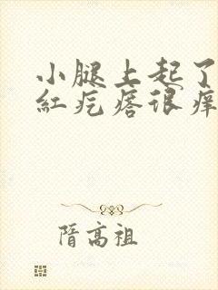 小腿上起了好多红疙瘩很痒越挠越痒