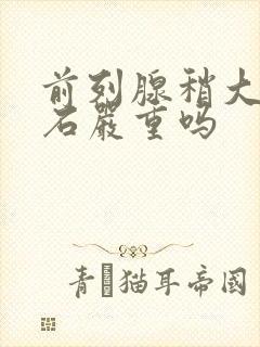 前列腺稍大伴结石严重吗