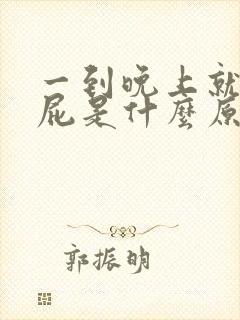 一到晚上就爱放屁是什么原因