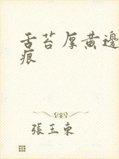 舌苔厚黄边有齿痕