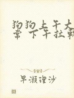 狗狗上午大便正常 下午拉软便