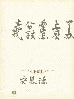 老公爱上了别人我该怎么办