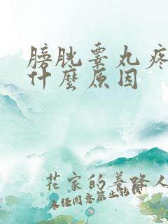 膀胱睾丸疼痛是什么原因