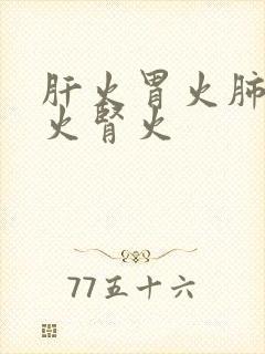 肝火胃火肺火心火肾火