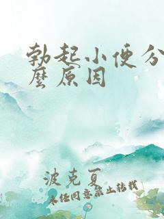 勃起小便分叉什么原因