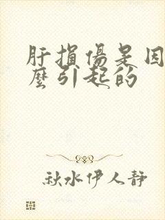 肝损伤是因为什么引起的