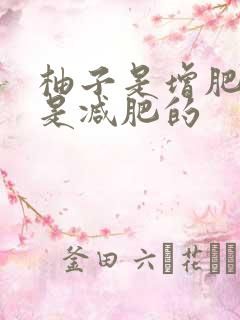 柚子是增肥的还是减肥的