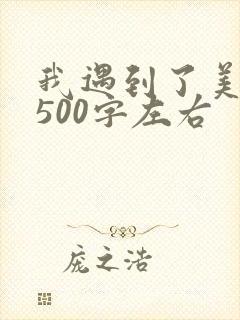 我遇到了美作文500字左右