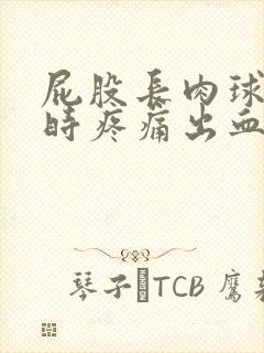 屁股长肉球大便时疼痛出血