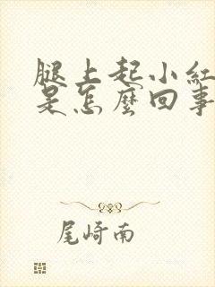 腿上起小红疙瘩是怎么回事