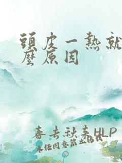 头皮一热就痒什么原因