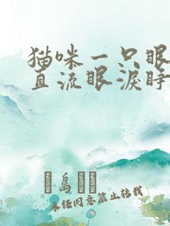 猫咪一只眼睛一直流眼泪睁不开