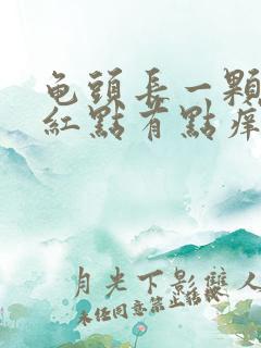 龟头长一颗颗小红点有点痒是什么原因