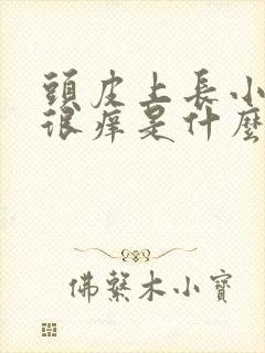 头皮上长小疙瘩很痒是什么原因