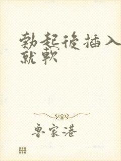 勃起后插入一会就软