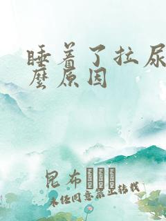 睡着了拉尿是什么原因