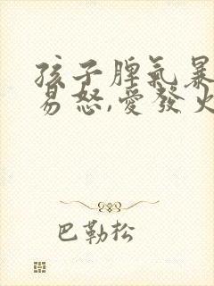 孩子脾气暴躁,易怒,爱发火