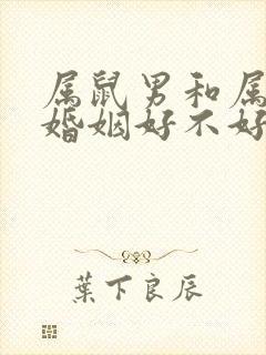 属鼠男和属蛇女婚姻好不好