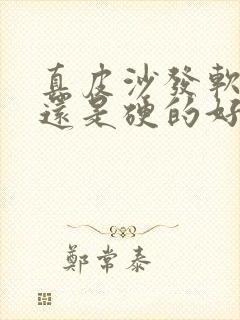 真皮沙发软的好还是硬的好?