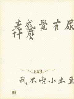 老感觉有尿意为什么