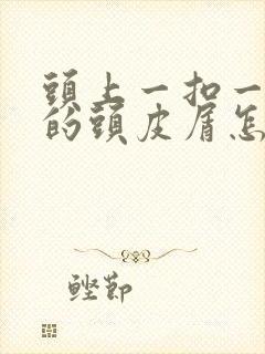 头上一扣一块块的头皮屑怎么办