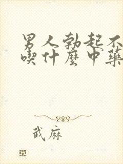 男人勃起不持久吃什么中药