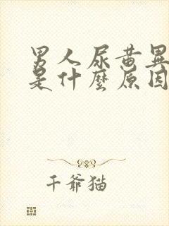 男人尿黄异味重是什么原因