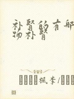 补肾的有哪些食物补肾