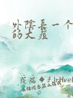 外阴长一个硬硬的大痘