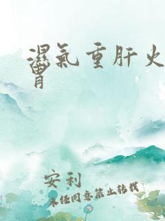 湿气重肝火旺脾胃