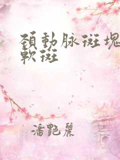 颈动脉斑块形成软斑