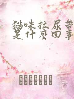 猫咪拉尿带点血是什么回事