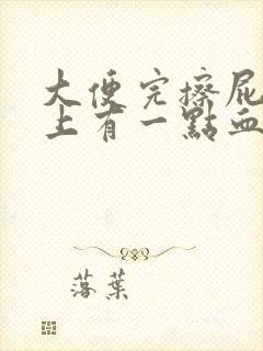 大便完擦屁股纸上有一点血怎么回事?