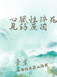 心脏性猝死最常见的原因