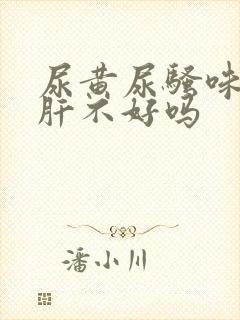 尿黄尿骚味重是肝不好吗