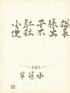 小肚子胀总想拉便拉不出来