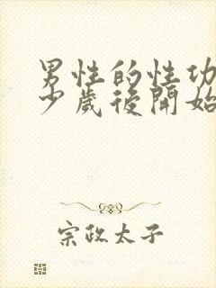 男性的性功能多少岁后开始衰退