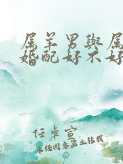 属羊男与属马女婚配好不好