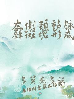 左侧颈动脉窦后壁斑块形成