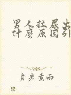 男人拉尿出血是什么原因引起的