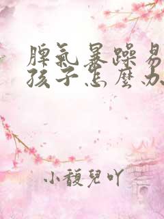 脾气暴躁易怒的孩子怎么办