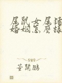 属鼠女属猪男的婚姻怎么样