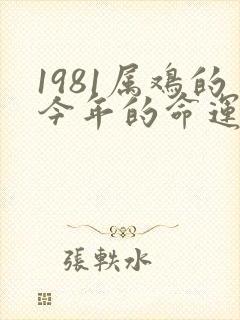 1981属鸡的今年的命运怎么样