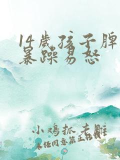 14岁孩子脾气暴躁易怒