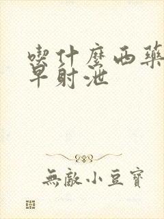 吃什么西药能治早射泄