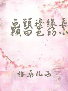 龟头边缘长了一颗白色的小颗粒