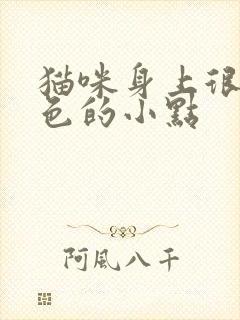 猫咪身上很多黑色的小点